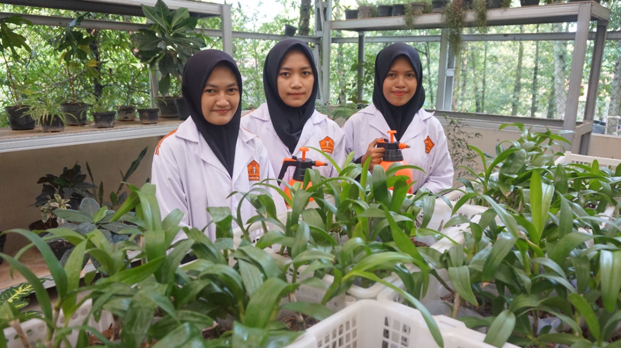 Research Activities